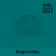 Пігмент для тонування покриття RAPTOR™ Водна синь (RAL 5021)