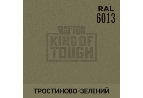 Пігмент для тонування покриття RAPTOR™ Тростинно-зелений (RAL 6013)